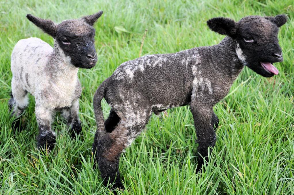 Wir sind gerade 1 Tag alt